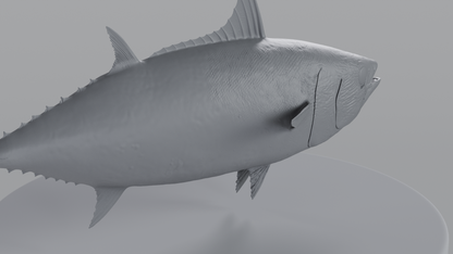 Tuna