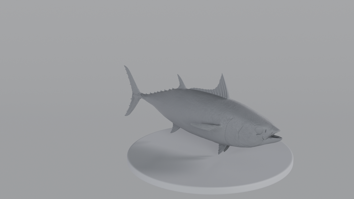 Tuna
