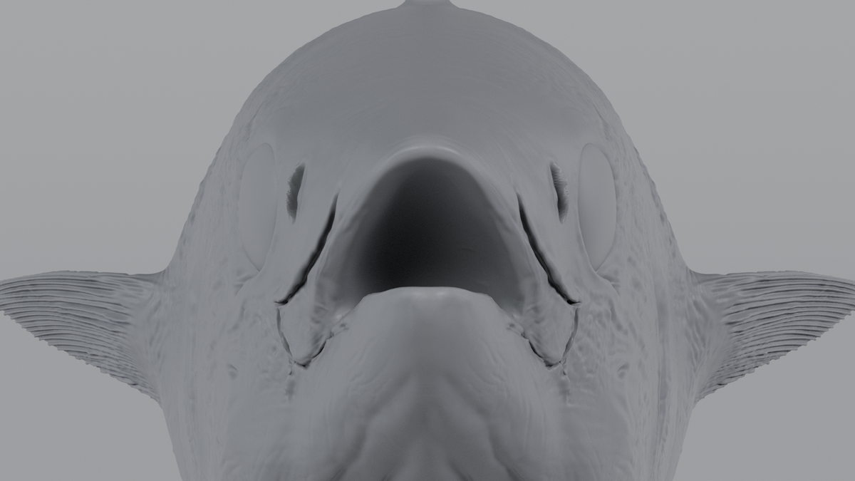 Tuna