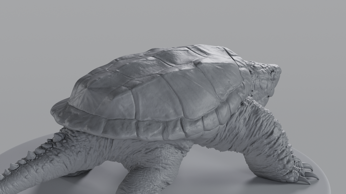 Snapping Turtle
