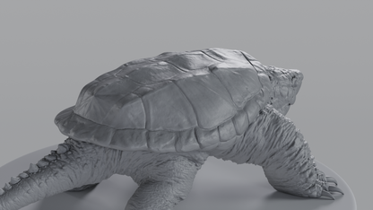 Snapping Turtle