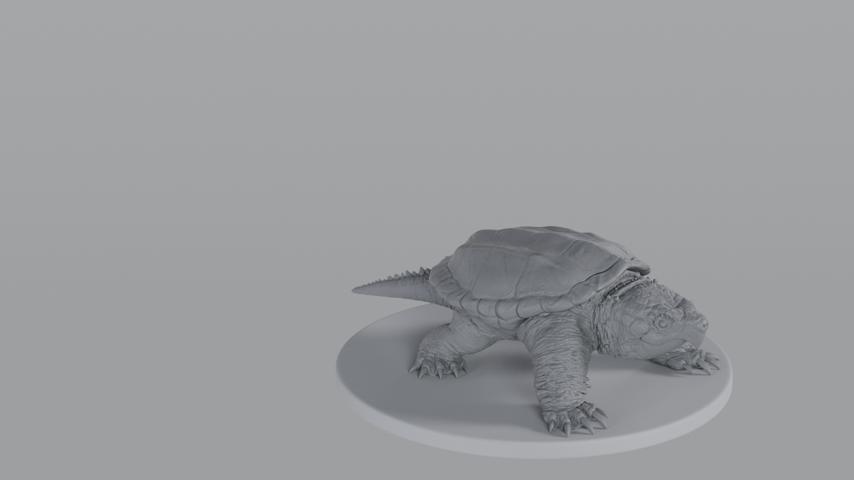Snapping Turtle