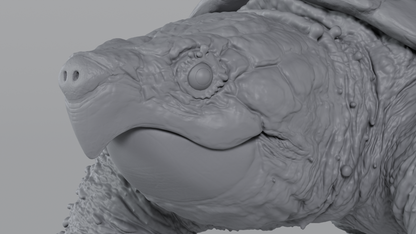 Snapping Turtle