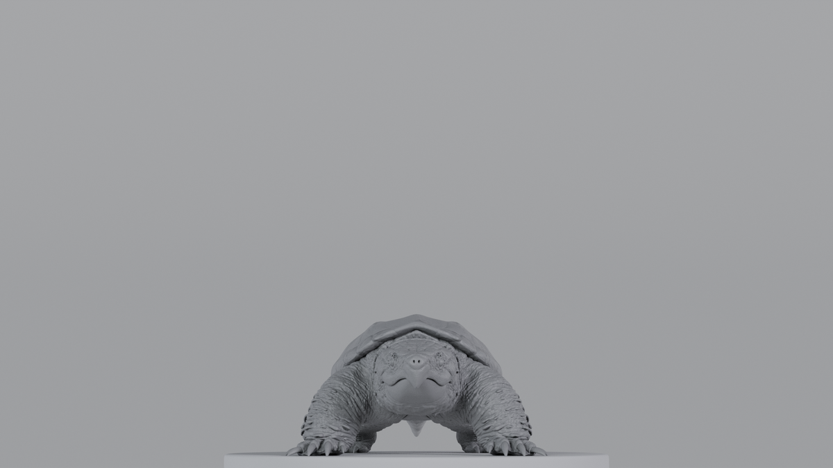 Snapping Turtle