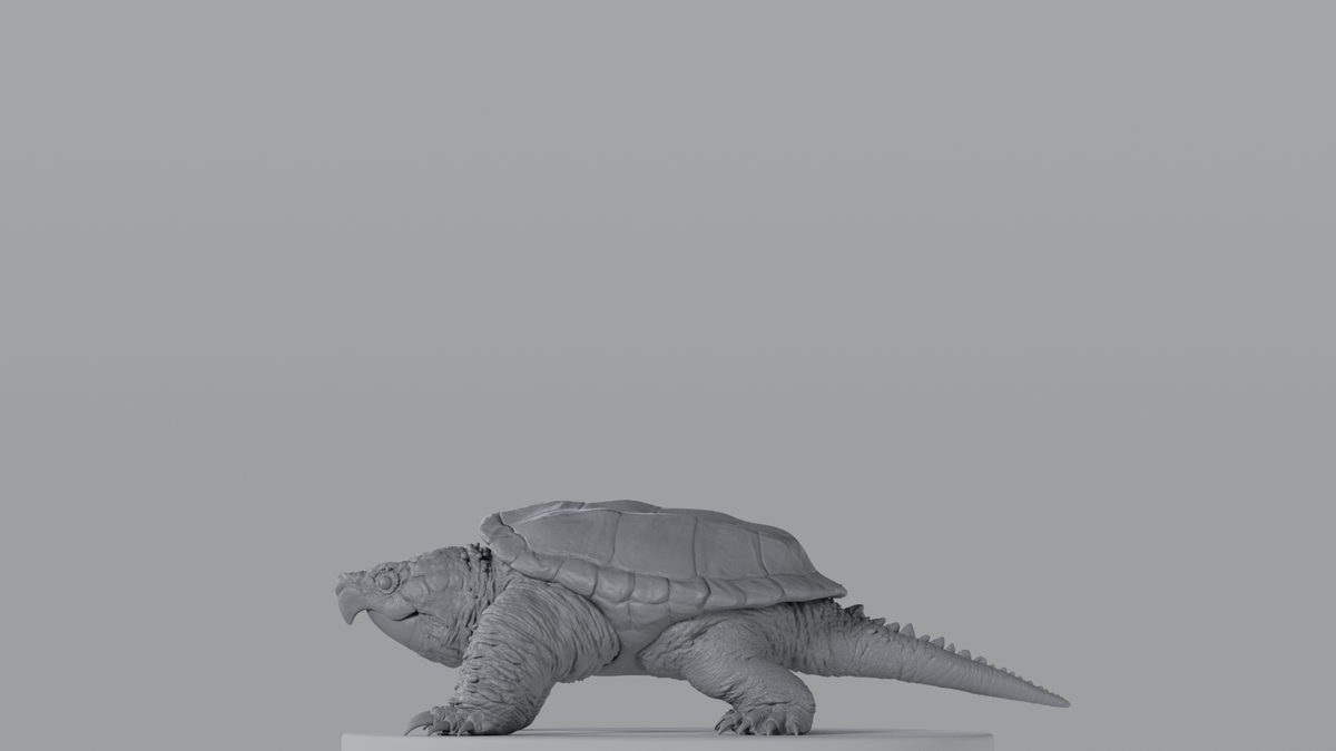 Snapping Turtle