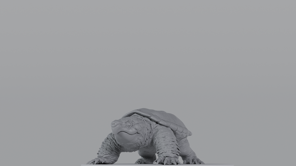 Snapping Turtle