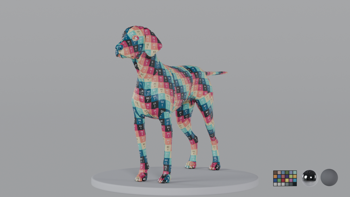 Weimaraner