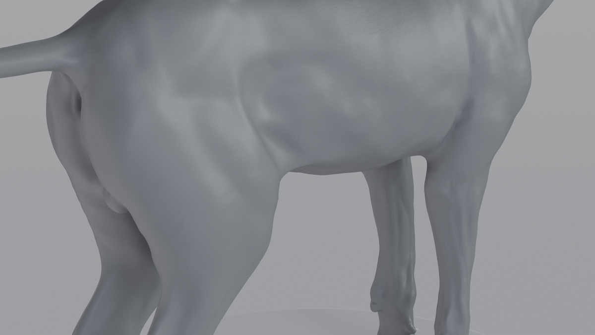 Grey Wolf