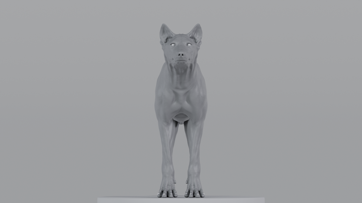 Grey Wolf