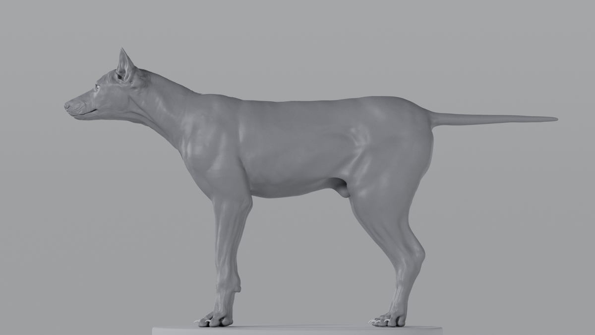 Grey Wolf