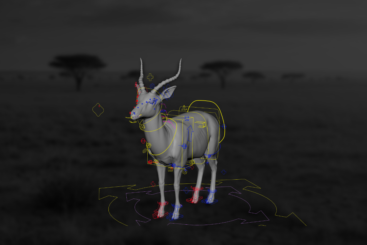 Antelope