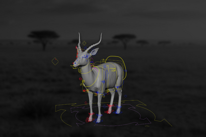 Antelope