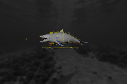 Dolphin