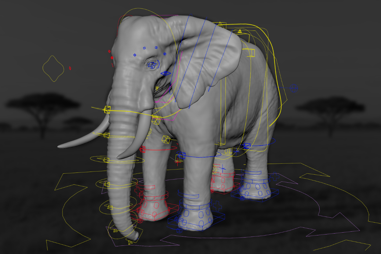 African Elephant