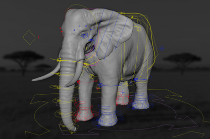 African Elephant