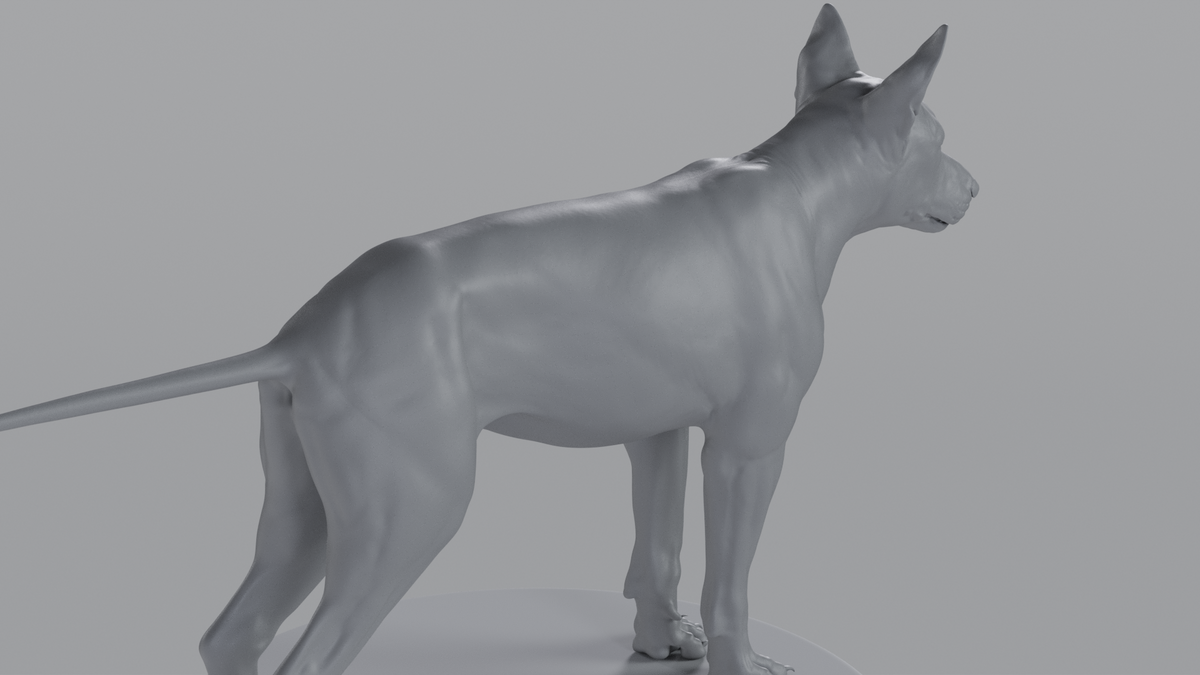 German Sheperd