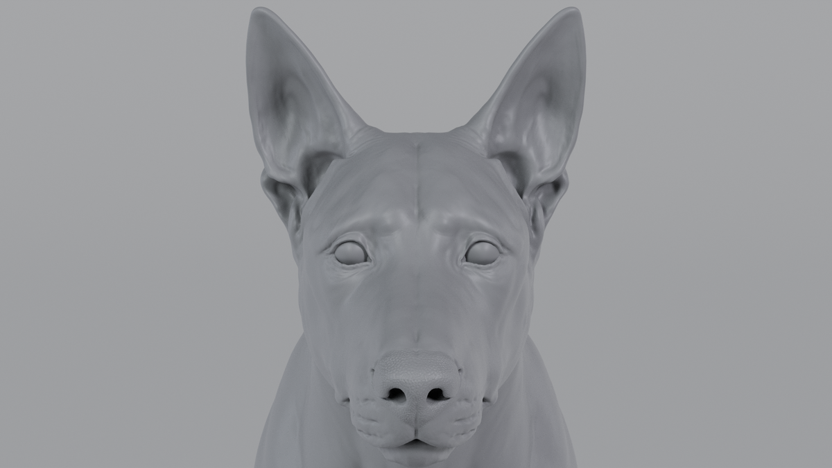 German Sheperd