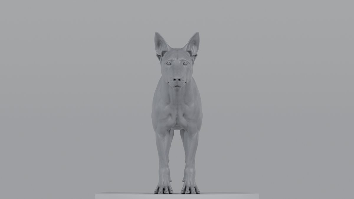 German Sheperd