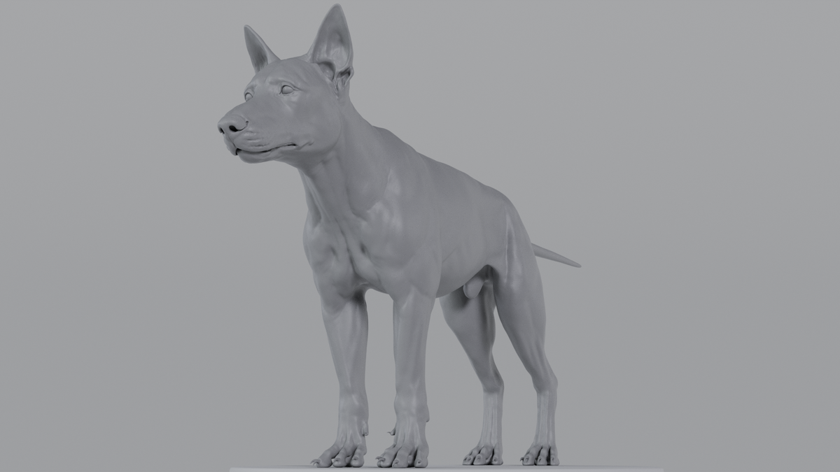 German Sheperd