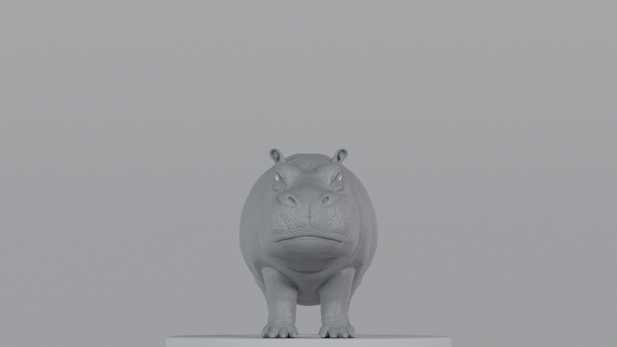 Hippopotamus