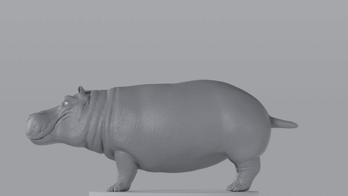 Hippopotamus