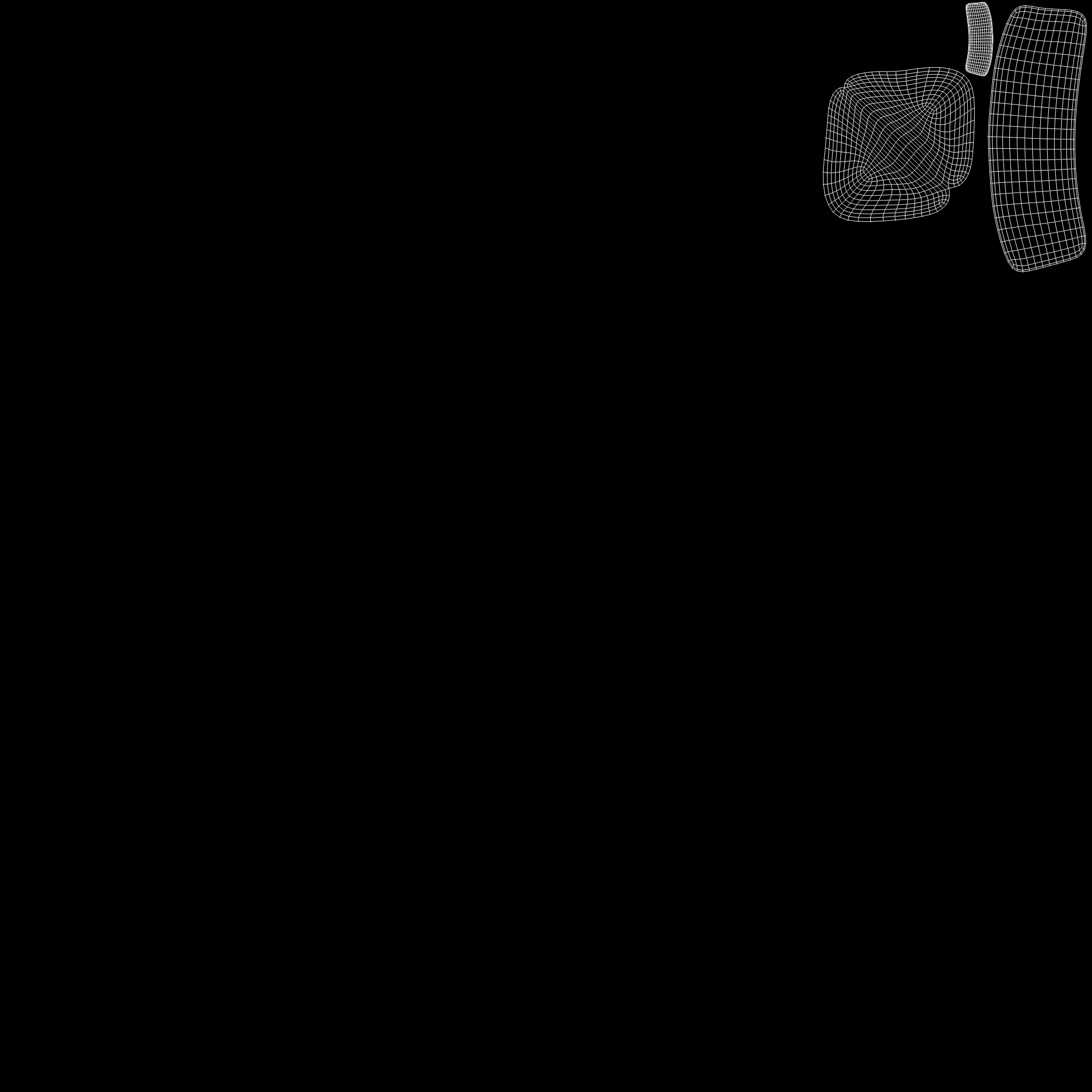 Hippopotamus