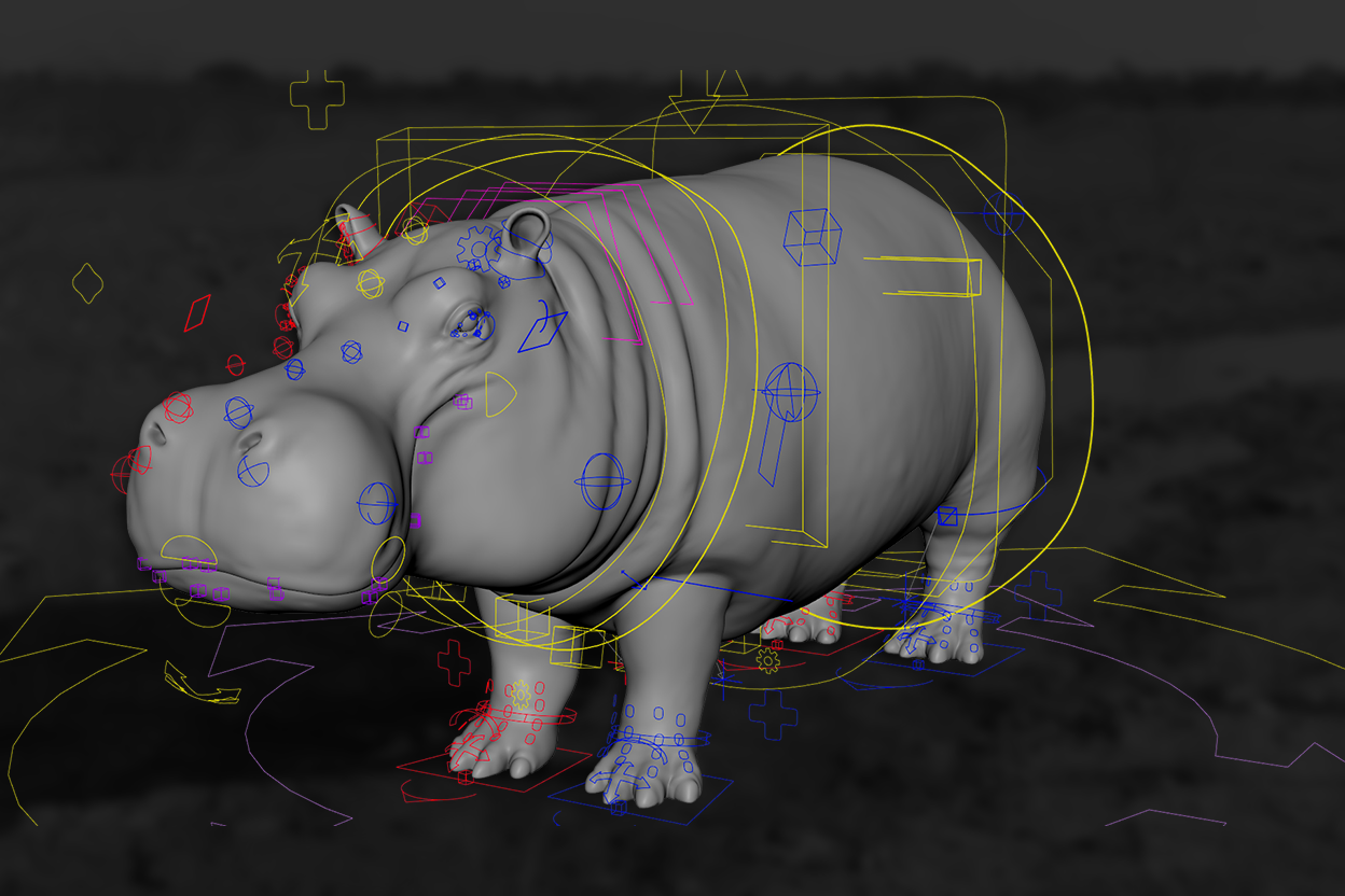 Hippopotamus