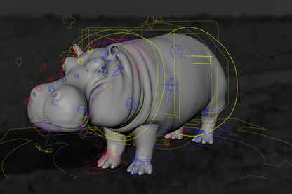 Hippopotamus