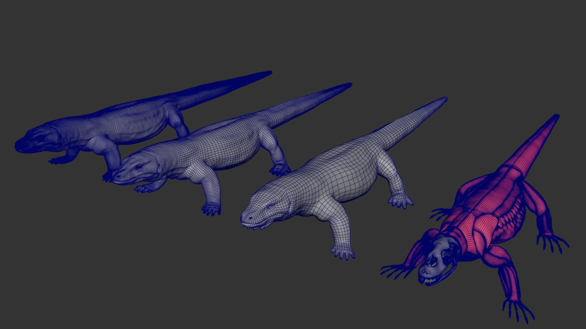 Komodo Dragon