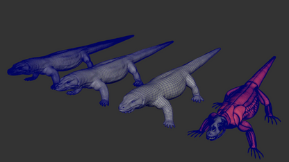 Komodo Dragon