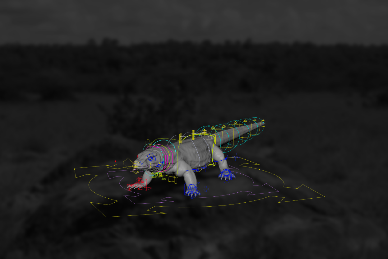 Komodo Dragon