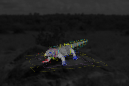 Komodo Dragon
