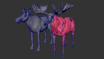 Moose