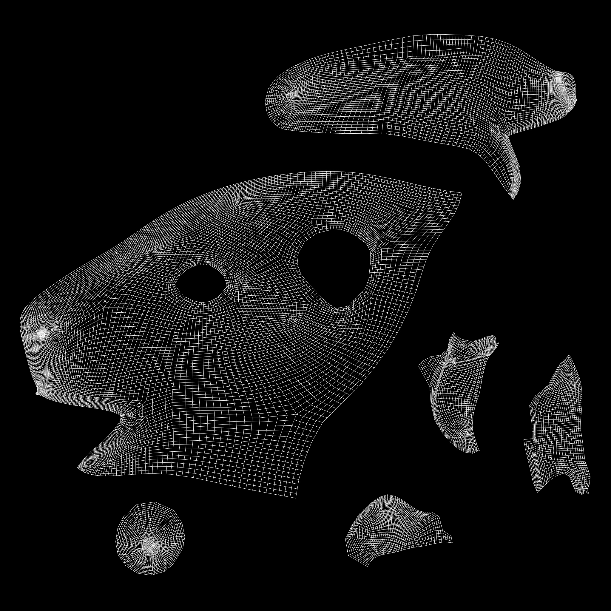 Mouse