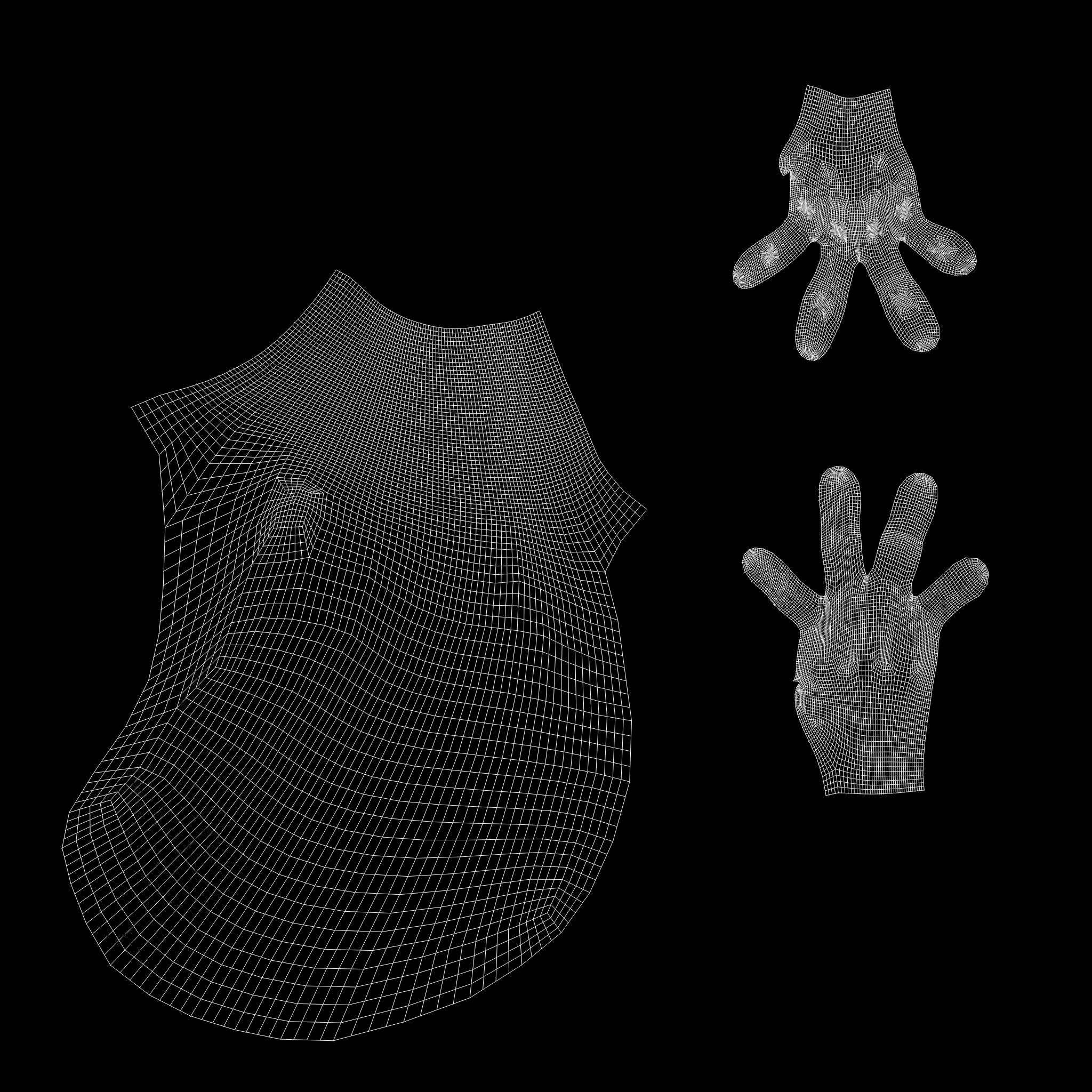 Mouse