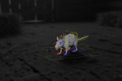 Mouse