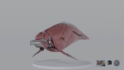 Dolphin