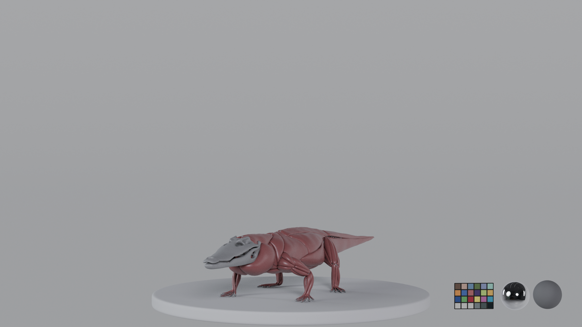 Crocodile