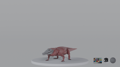 Crocodile