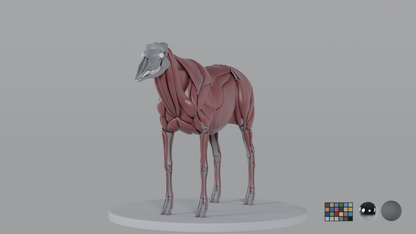Moose