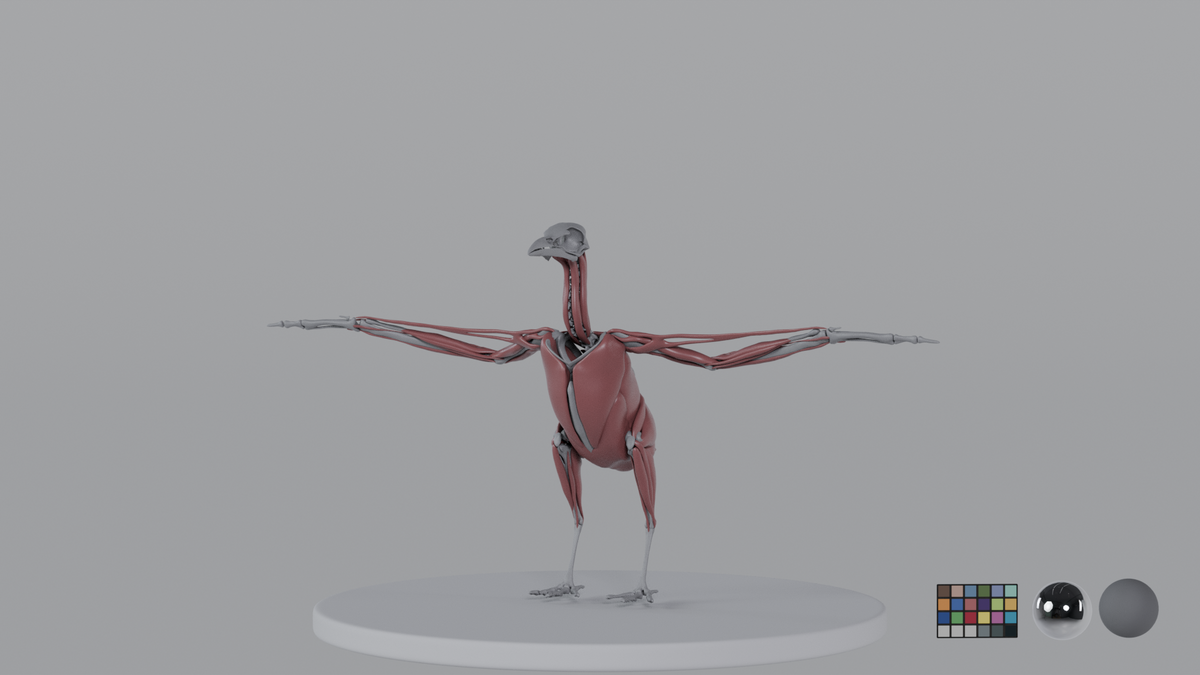 Crow