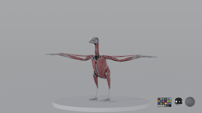 Crow
