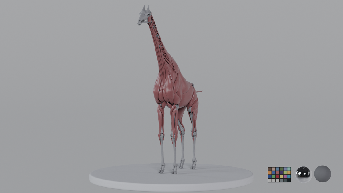 Giraffe