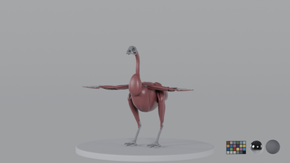 Rooster