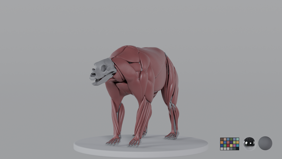 Grizzly