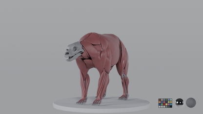 Grizzly
