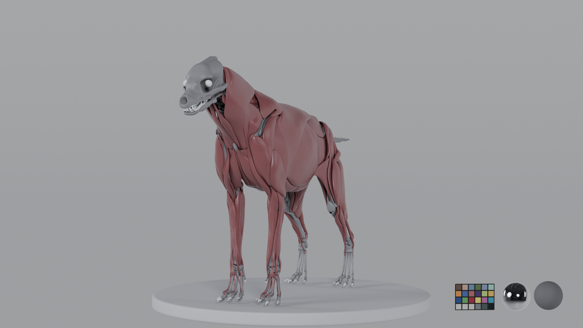 Hyena