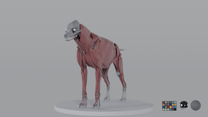 Hyena