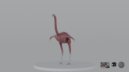 Ostrich