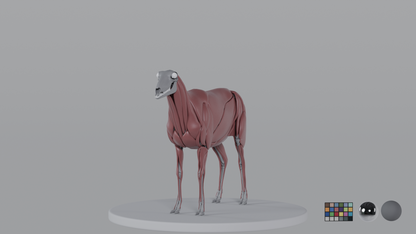 Sheep
